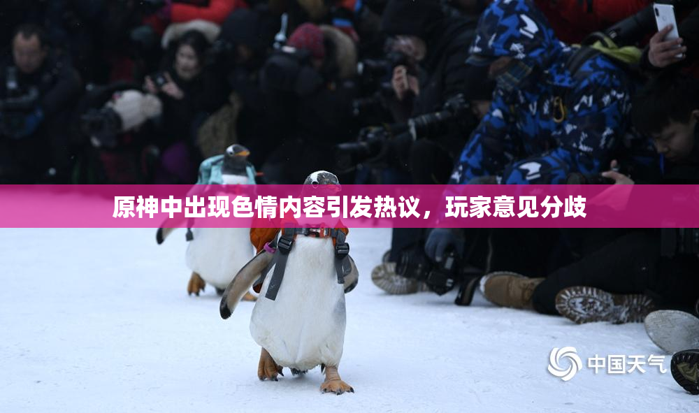 原神中出现色情内容引发热议，玩家意见分歧