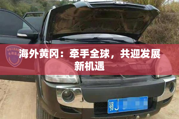 海外黄冈：牵手全球，共迎发展新机遇