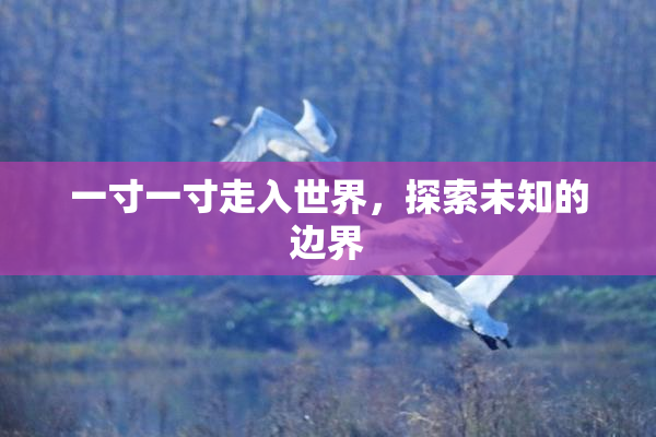 一寸一寸走入世界，探索未知的边界