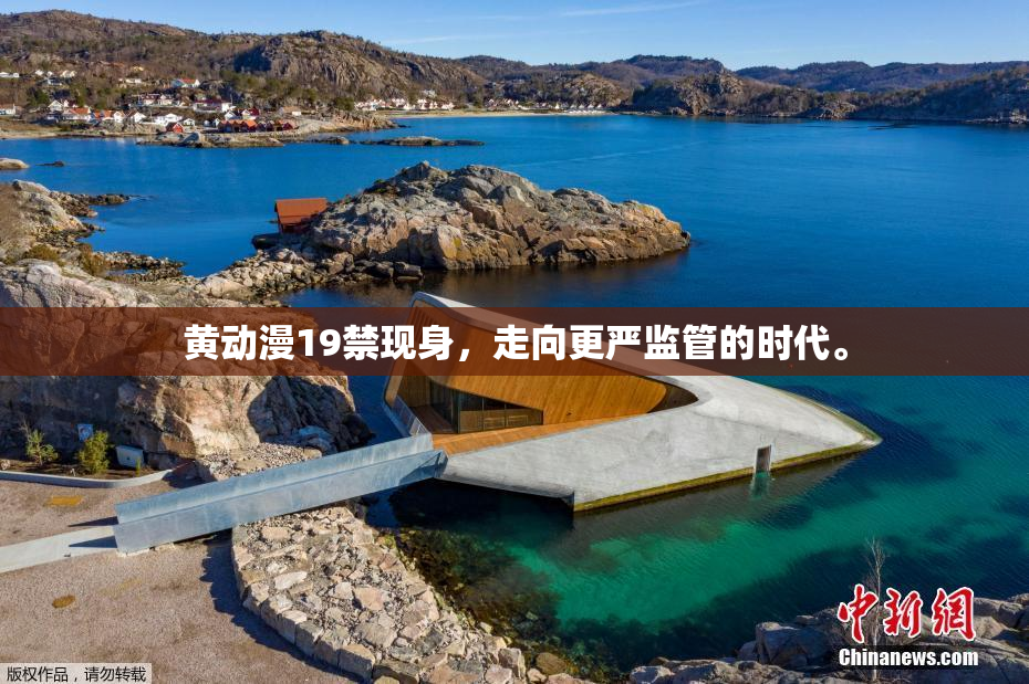 黄动漫19禁现身，走向更严监管的时代。