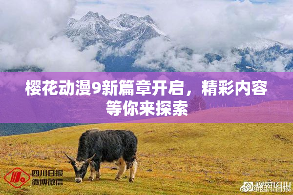 樱花动漫9新篇章开启，精彩内容等你来探索
