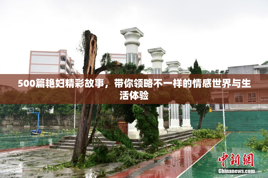 500篇艳妇精彩故事，带你领略不一样的情感世界与生活体验