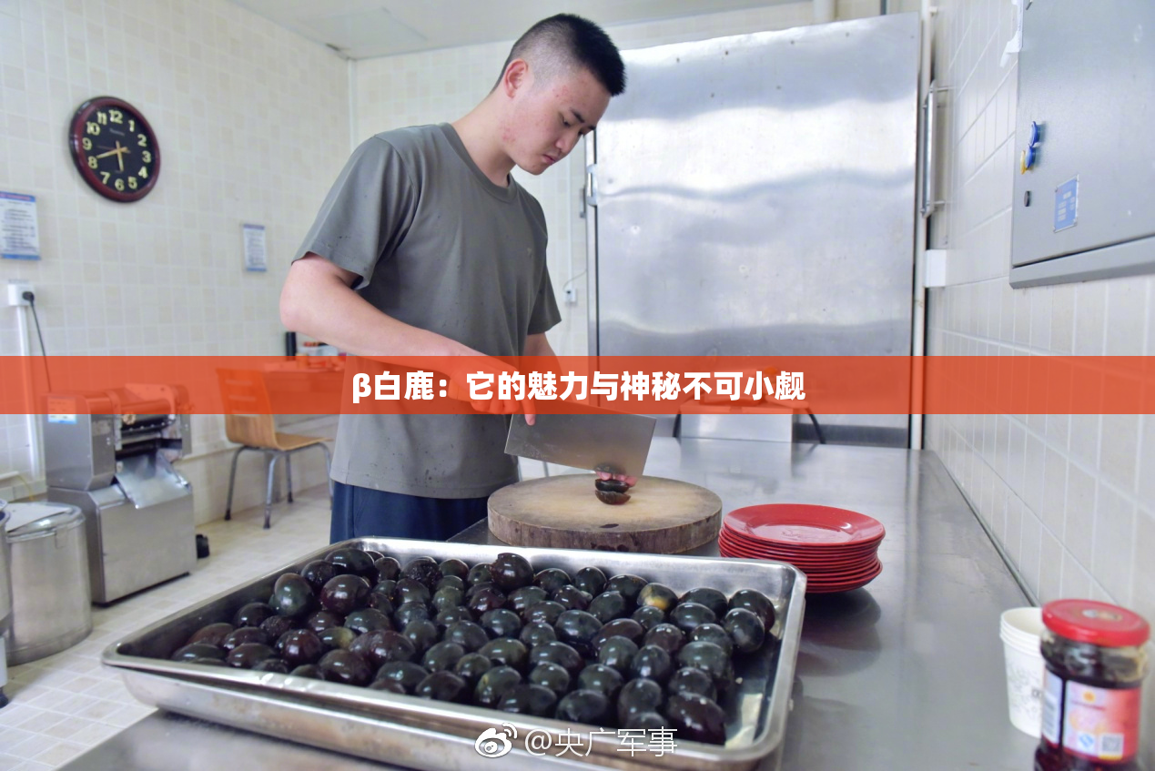 β白鹿：它的魅力与神秘不可小觑
