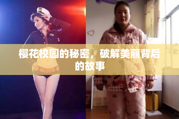 樱花校园的秘密，破解美丽背后的故事