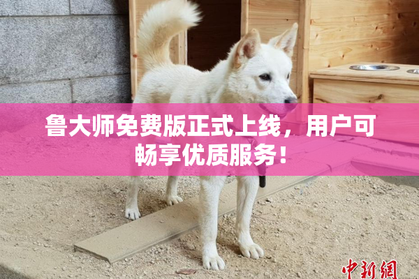 鲁大师免费版正式上线，用户可畅享优质服务！