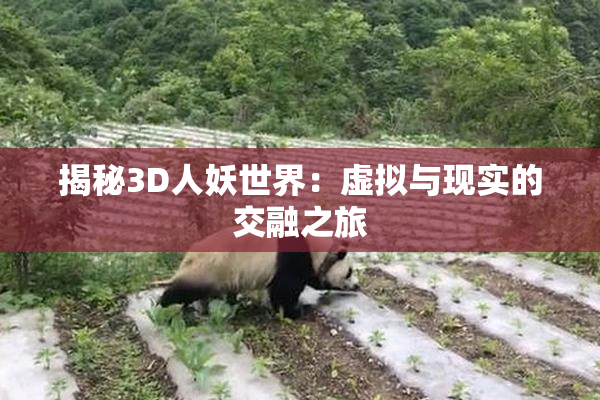 揭秘3D人妖世界：虚拟与现实的交融之旅