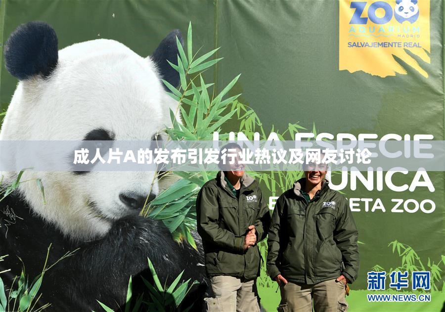 成人片A的发布引发行业热议及网友讨论
