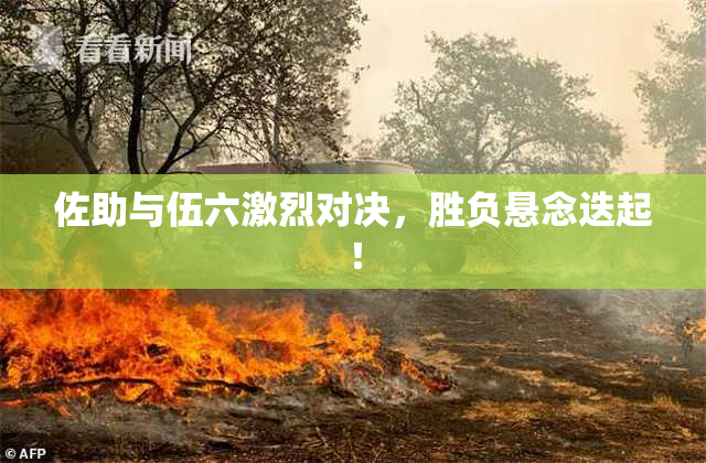 佐助与伍六激烈对决，胜负悬念迭起！
