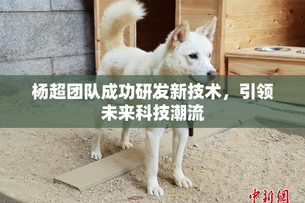 杨超团队成功研发新技术，引领未来科技潮流