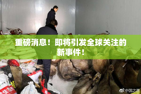 重磅消息！即将引发全球关注的新事件！