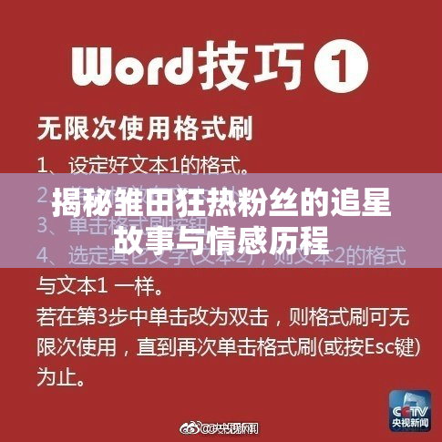 揭秘雏田狂热粉丝的追星故事与情感历程