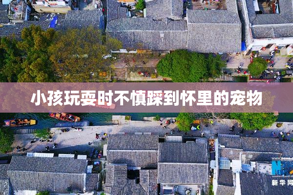 小孩玩耍时不慎踩到怀里的宠物