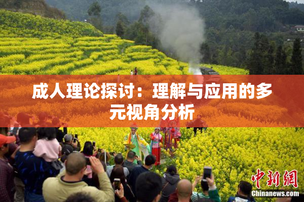 成人理论探讨：理解与应用的多元视角分析