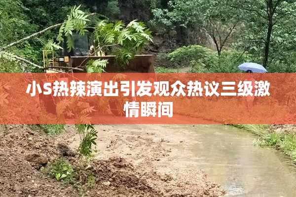 小S热辣演出引发观众热议三级激情瞬间