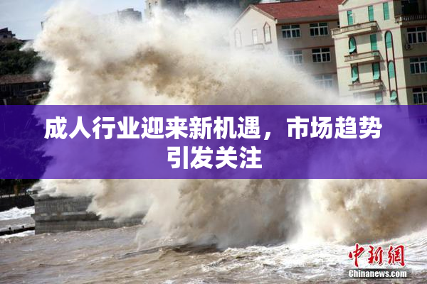 成人行业迎来新机遇，市场趋势引发关注