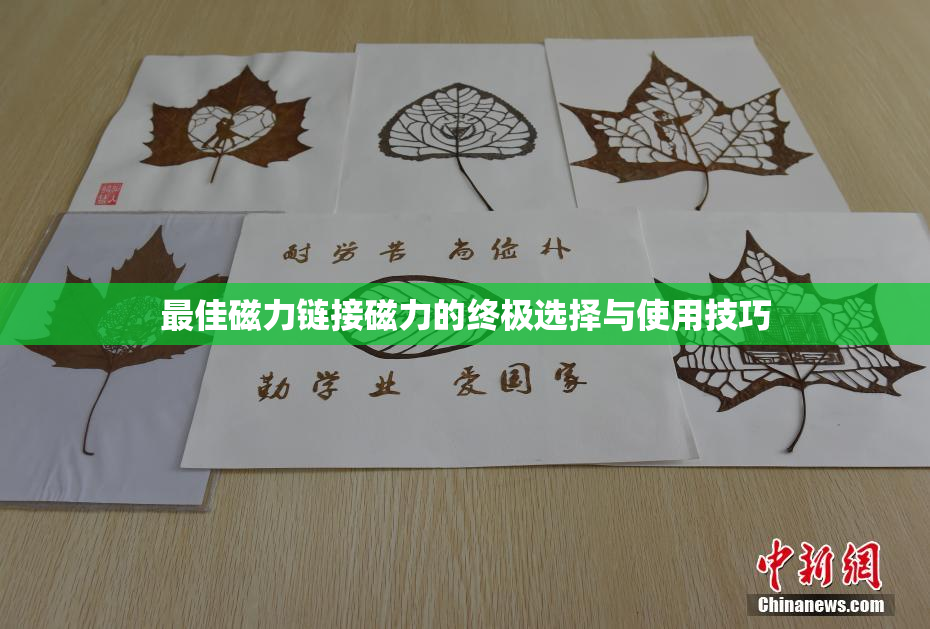 最佳磁力链接磁力的终极选择与使用技巧