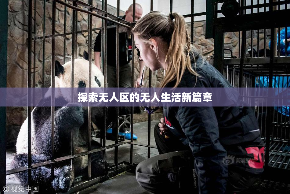 探索无人区的无人生活新篇章