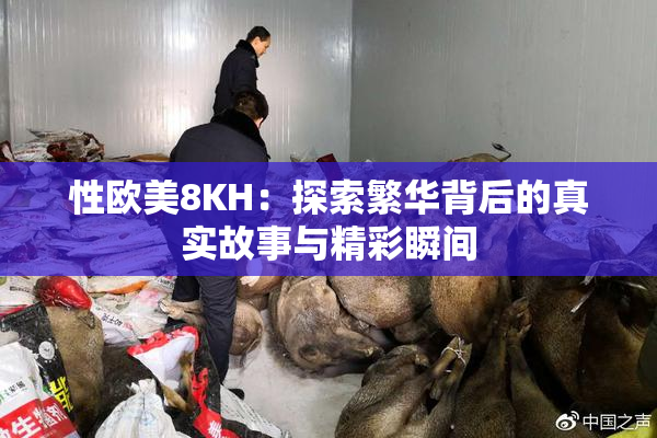 性欧美8KH：探索繁华背后的真实故事与精彩瞬间