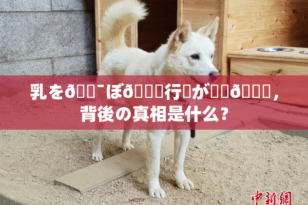 乳を🔯ぼ🌃行為が話題🎆，背後の真相是什么？
