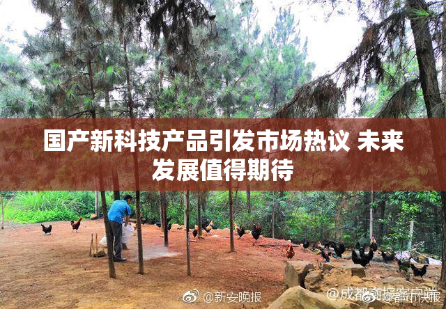 国产新科技产品引发市场热议 未来发展值得期待