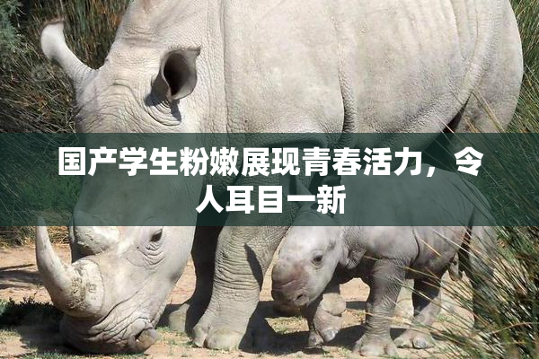 国产学生粉嫩展现青春活力，令人耳目一新