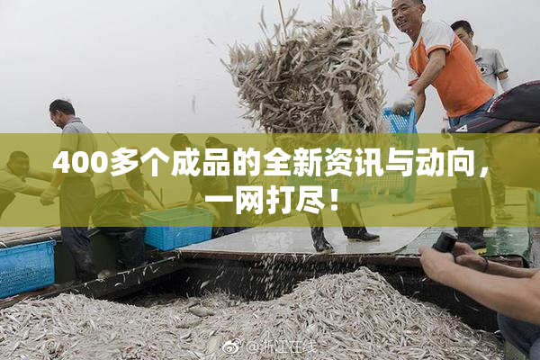 400多个成品的全新资讯与动向，一网打尽！