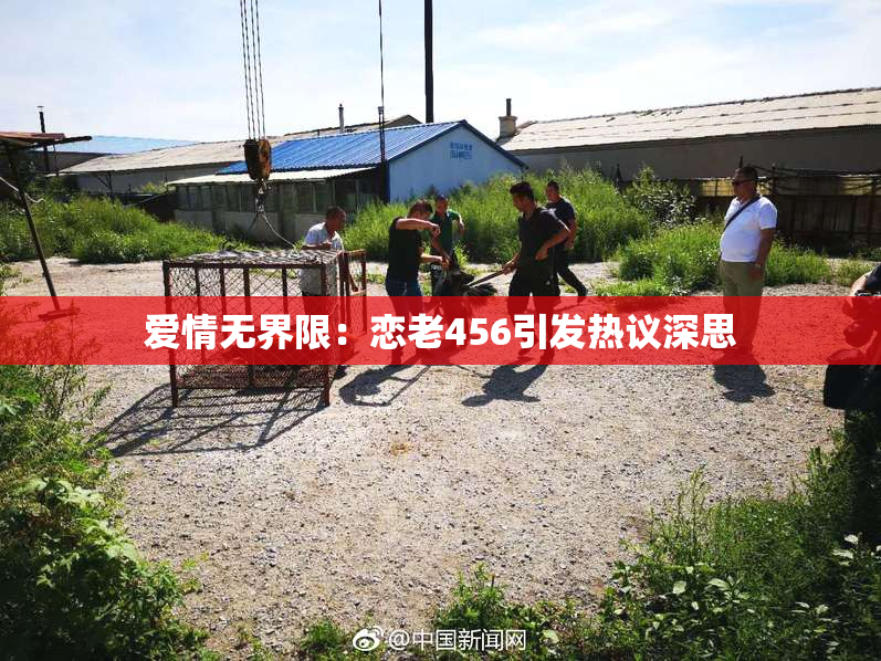 爱情无界限：恋老456引发热议深思