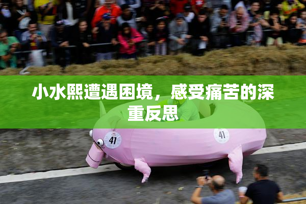小水熙遭遇困境，感受痛苦的深重反思