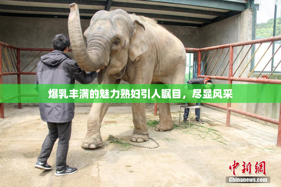 爆乳丰满的魅力熟妇引人瞩目，尽显风采