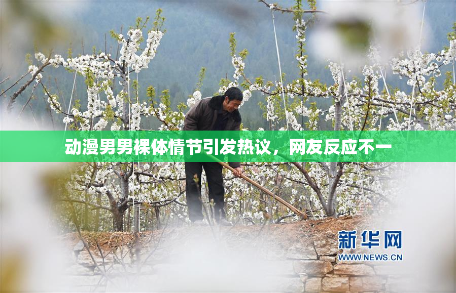 动漫男男裸体情节引发热议，网友反应不一