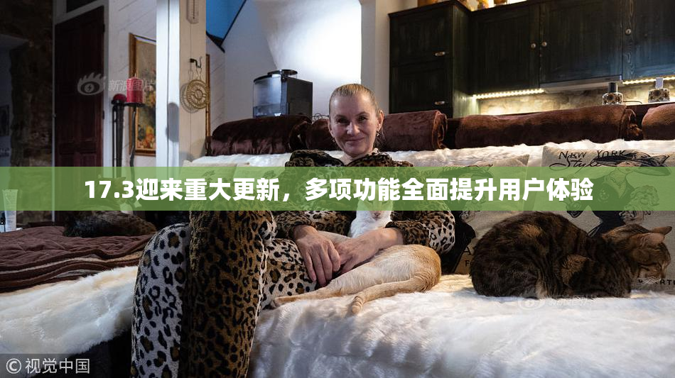 17.3迎来重大更新，多项功能全面提升用户体验