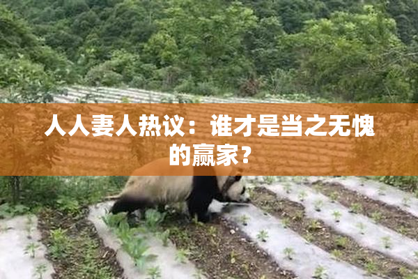 人人妻人热议：谁才是当之无愧的赢家？