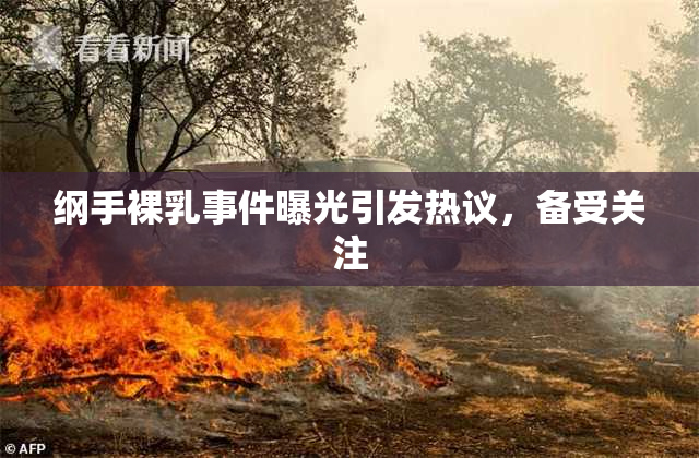 纲手裸乳事件曝光引发热议，备受关注