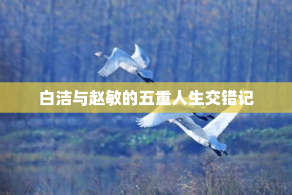 白洁与赵敏的五重人生交错记
