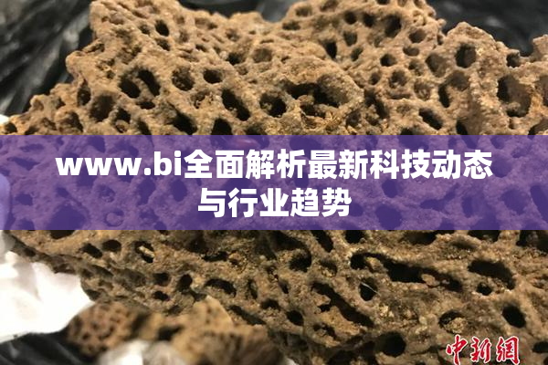 www.bi全面解析最新科技动态与行业趋势