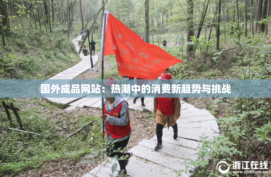 国外成品网站：热潮中的消费新趋势与挑战