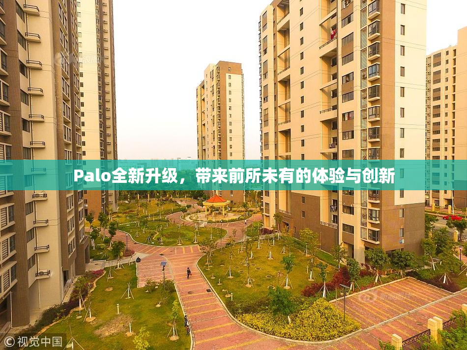 Palo全新升级，带来前所未有的体验与创新