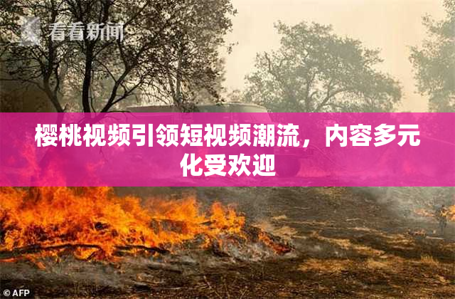 樱桃视频引领短视频潮流，内容多元化受欢迎