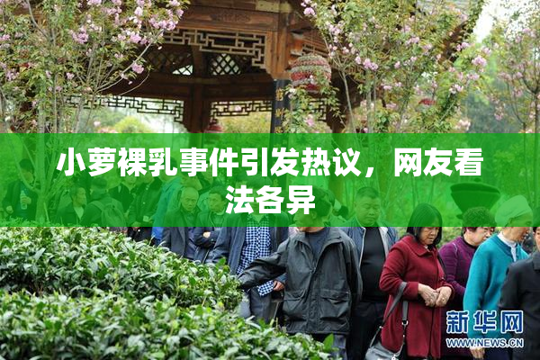 小萝裸乳事件引发热议，网友看法各异