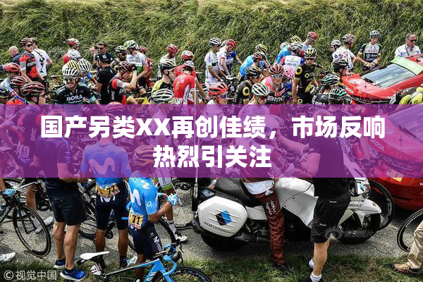 国产另类XX再创佳绩，市场反响热烈引关注