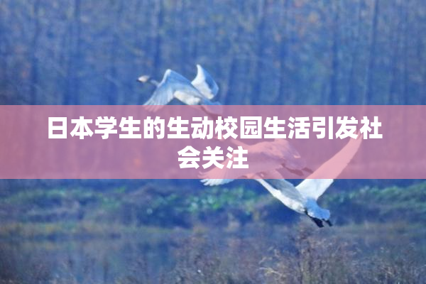 日本学生的生动校园生活引发社会关注