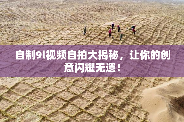 自制9l视频自拍大揭秘，让你的创意闪耀无遗！