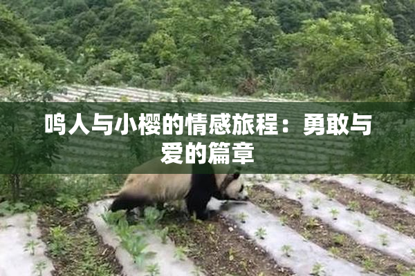 鸣人与小樱的情感旅程：勇敢与爱的篇章