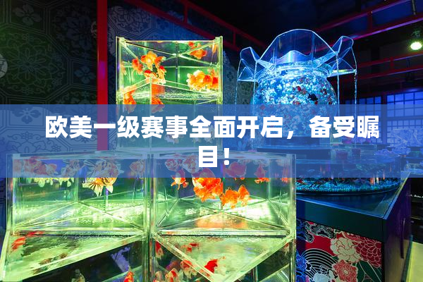 欧美一级赛事全面开启，备受瞩目！