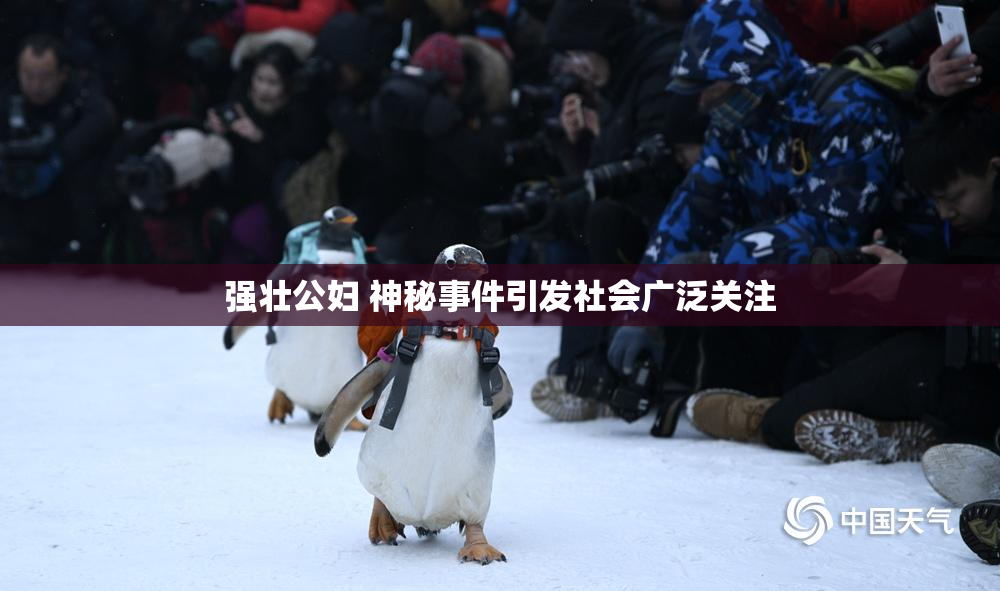 强壮公妇 神秘事件引发社会广泛关注