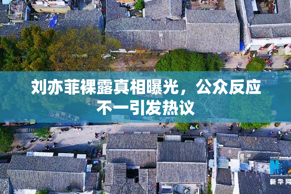 刘亦菲裸露真相曝光，公众反应不一引发热议