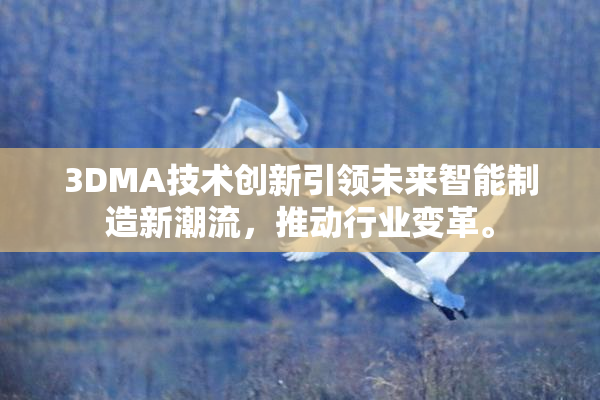 3DMA技术创新引领未来智能制造新潮流，推动行业变革。