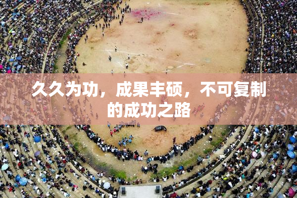 久久为功，成果丰硕，不可复制的成功之路