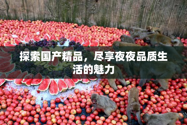 探索国产精品，尽享夜夜品质生活的魅力