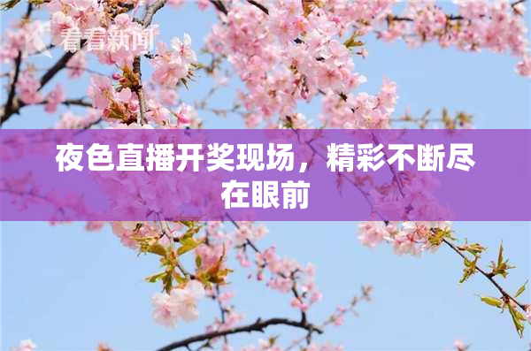 夜色直播开奖现场，精彩不断尽在眼前